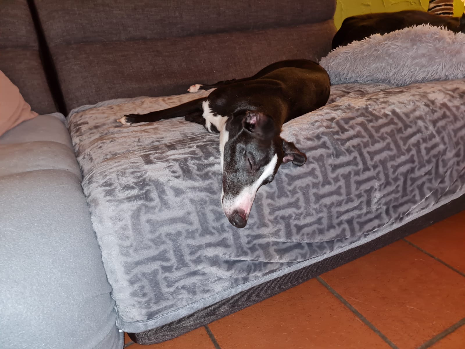 Welcome kleiner Bibi....